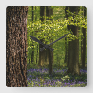 Forests Bluebells in Belgium Quadratische Wanduhr