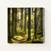 Forests | Boreal Forest Sweden Notizblock (Rückseite)