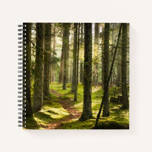 Forests | Boreal Forest Sweden Notizblock (Vorderseite)