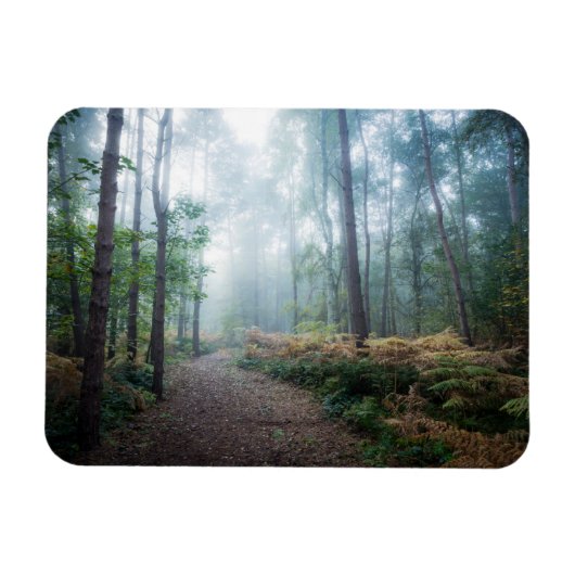 Forests | Dark Foggy Woods Norfolk UK Magnet (Horizontal)
