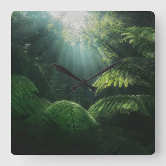 Forests | Ferns in Rainforest Quadratische Wanduhr (Vorderseite)