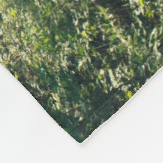 Forests | Forest Path Hamburg Germany Fleecedecke (Ecke)