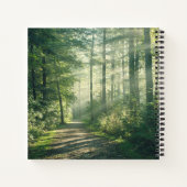 Forests | Forest Path Hamburg Germany Notizblock (Rückseite)