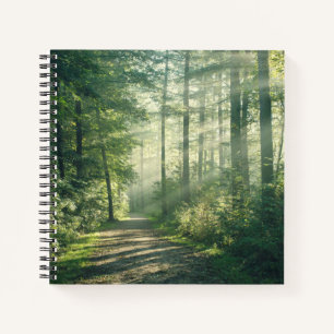 Forests Forest Path Hamburg Germany Notizblock