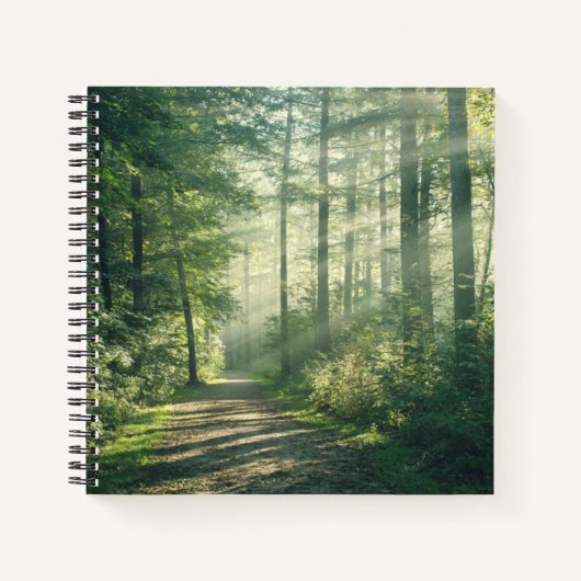 Forests | Forest Path Hamburg Germany Notizblock (Vorderseite)