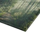 Forests Forest Path Hamburg Germany Schneidebrett (Ecke)