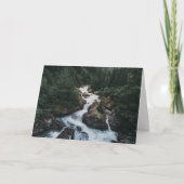 Forests | Grison Graubunden Canton Karte (Vorderseite)