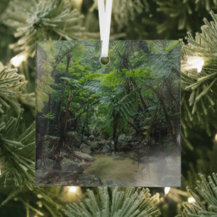 Forests Iriomote Ishigaki National Park Ornament Aus Glas
