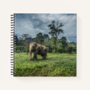 Forests Kao Sok National Park Notizblock
