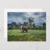 Forests | Kao Sok National Park Postkarte (Vorne/Hinten)