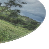 Forests | Kao Sok National Park Schneidebrett (Ecke)