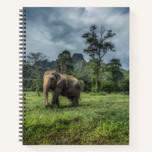 Forests Kao Sok Nationalpark Notizblock