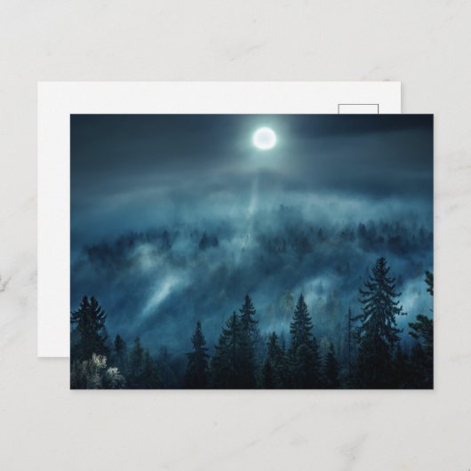 Forests | Moonlit Forest Postkarte (Vorne/Hinten)