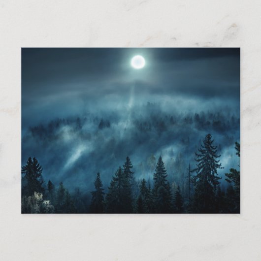 Forests | Moonlit Forest Postkarte (Vorderseite)