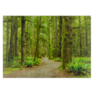Forests   Olympic National Park Schneidebrett
