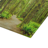 Forests | Olympic National Park Schneidebrett (Ecke)