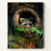 Forests | Raccoon Peeking Notizblock (Rückseite)