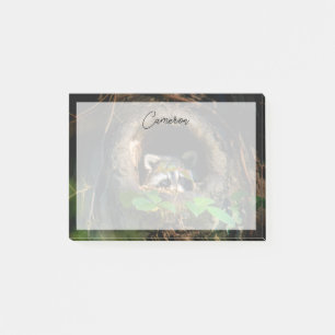 Forests Raccoon Peeking Post-it Klebezettel