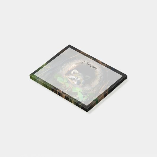 Forests Raccoon Peeking Post-it Klebezettel (angewinkelt)