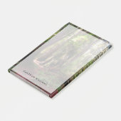 Forests Redwood Forest California Post-it Klebezettel (angewinkelt)