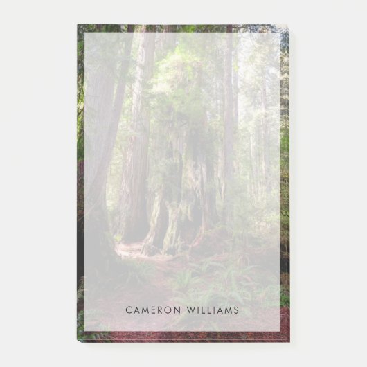 Forests Redwood Forest California Post-it Klebezettel (Vorderseite)
