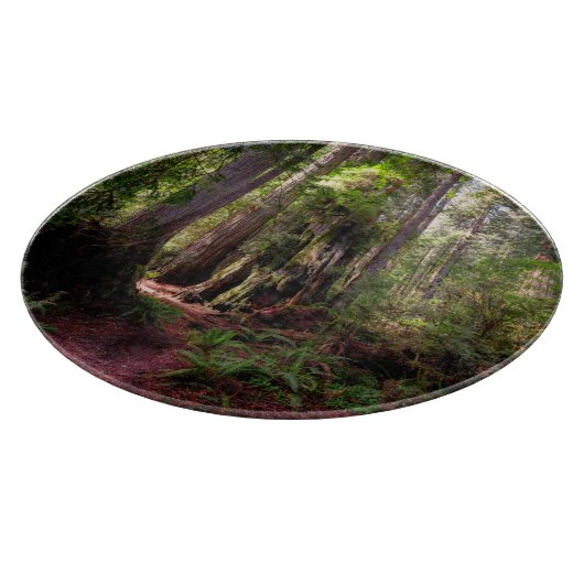 Forests | Redwood Forest California Schneidebrett (Ecke)
