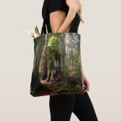 Forests Redwood Forest California Tasche (Von Nahem)