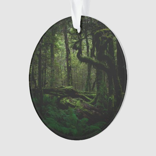 Forests | Routeburn Track Fiordland National Park Ornament (Vorderseite)