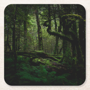 Forests Routeburn   Track Fiordland National Park Rechteckiger Pappuntersetzer