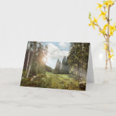 Forests | Sun Peeking Thru Karte (Gelbe Blume)