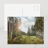 Forests | Sun Peeking Thru Postkarte (Vorne/Hinten)