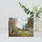 Forests | Sun Peeking Thru Postkarte (Stehend Vorderseite)