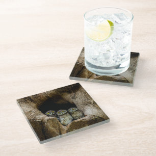 Forests Three Owls Looking Glasuntersetzer