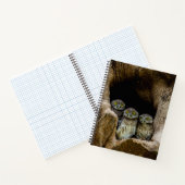 Forests Three Owls Looking Notizblock (Innenseite)