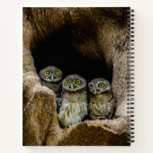 Forests Three Owls Looking Notizblock (Rückseite)