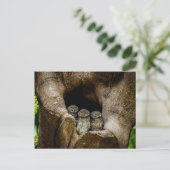 Forests | Three Owls Looking Postkarte (Stehend Vorderseite)