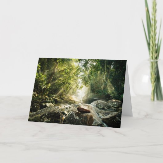 Forests | Tropical Jungle Forest Karte (Vorderseite)