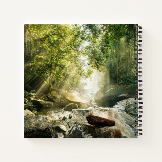 Forests | Tropical Jungle Forest Notizblock (Rückseite)