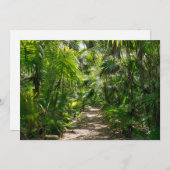Forests Tropical Rainforest Tulum Mexico Dankeskarte (Vorne/Hinten)