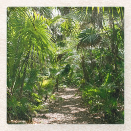 Forests Tropical Rainforest Tulum Mexico Glasuntersetzer (Vorderseite)