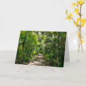 Forests Tropical Rainforest Tulum Mexico Karte (Gelbe Blume)
