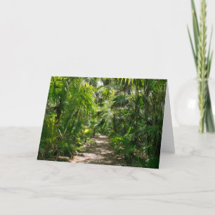 Forests Tropical Rainforest Tulum Mexico Karte