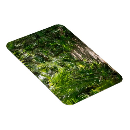 Forests Tropical Rainforest Tulum Mexico Magnet (Rechte Seite)