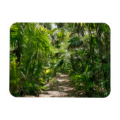 Forests Tropical Rainforest Tulum Mexico Magnet (Horizontal)