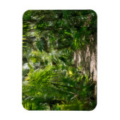 Forests Tropical Rainforest Tulum Mexico Magnet (Vertikal)