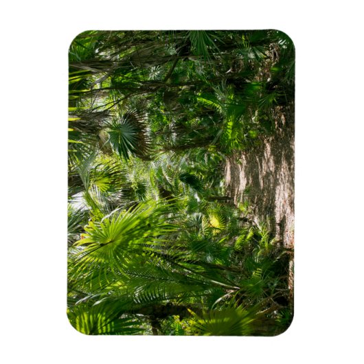 Forests Tropical Rainforest Tulum Mexico Magnet (Vertikal)