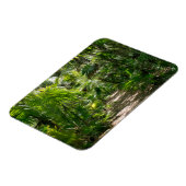 Forests Tropical Rainforest Tulum Mexico Magnet (Linke Seite)