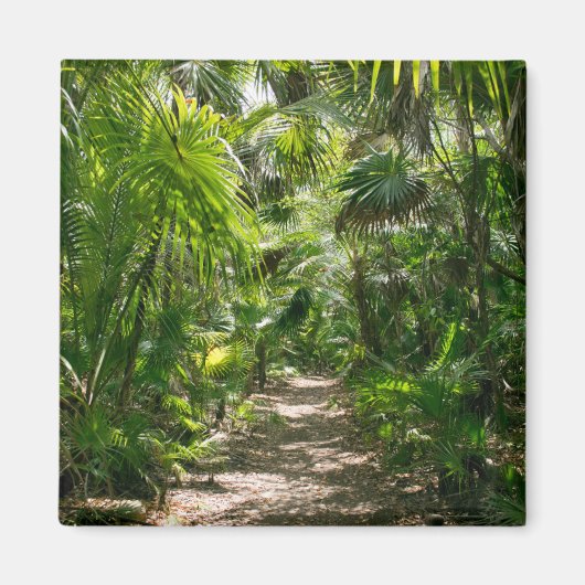 Forests Tropical Rainforest Tulum Mexico Magnet (Vorne)
