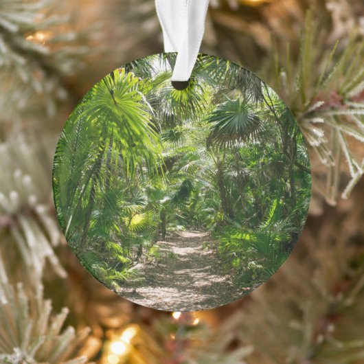 Forests Tropical Rainforest Tulum Mexico Ornament (Baum)