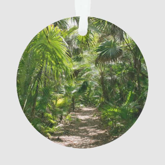 Forests Tropical Rainforest Tulum Mexico Ornament (Rückseite)